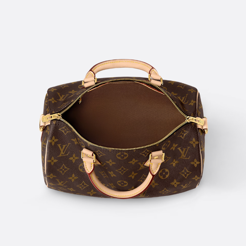 Louis Vuitton Again Bag